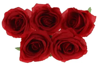 Image de Têtes de roses artificielles pour compositions florales, lot de 5 - Rouge