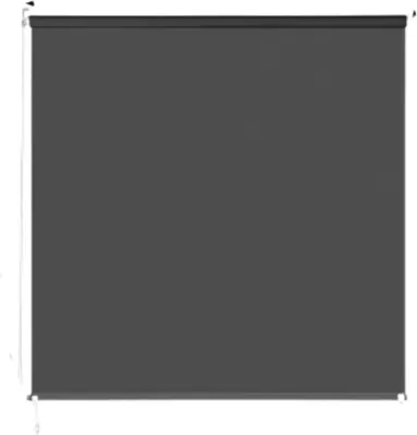 Obrázek produktu pro Zatemňovací roleta - Šedá - 160x240?cm - Tepelně izolovaná a UV ochrana - Pro ložnice a soukromí