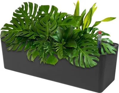 Produktbild von Famanu Pflanztopf Selbstbewässerung mit Wasserstandsanzeige - Rechteckiger Blumentopf mit Drainagelöchern
