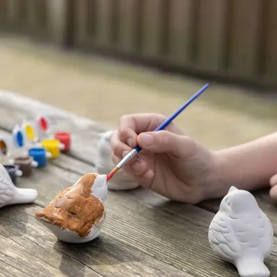 Image de Kit de peinture Oiseaux