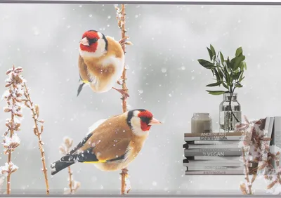 Immagine prodotto di LG 55EW5P-M Display per segnaletica 139,7 cm (55") OLED 600 cd/m² Full HD Argento Touchscreen 18/7