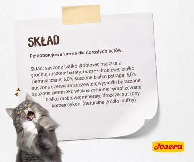 Zdjęcie produktu dla Josera 9562, Dorosły, Marchewkowy, Drób, 2 kg, Nie zawiera ziarna