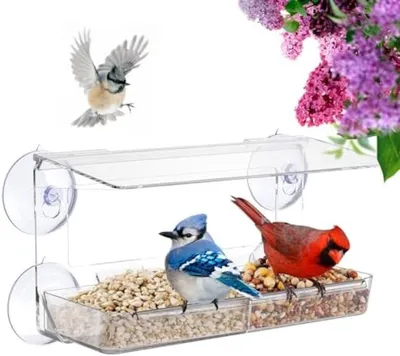 Produktbild von PolkaHome® Fenster-Vogelhäuschen – Transparente Futterstation mit starken Saugnäpfen, 26 x 14 x 5 cm
