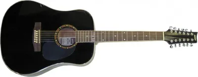 Obrázok produktu pre Ashton D25/12 akustická gitara - Farba: BK (čierna)