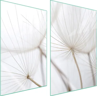 Produktbild von Glasschutzplatte Für Küche 2X35X52 Blume
