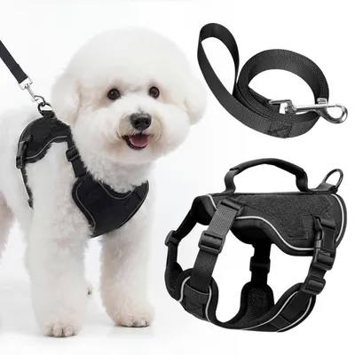 Produktbild von Hundegeschirr mit Leine Set, No Pull Verstellbar, Reflektierend, Gepolstert, mit Griff, Schwarz, XXXS