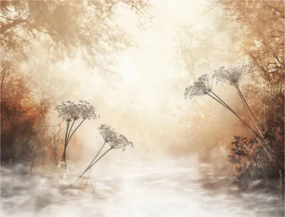 Produktbild von Fototapete Wald Boho Beige - 350x250 cm - inklusive kleister - Vlies Tapete Vliestapete Wohnzimmer Schlafzimmer Küche Modern Wandtapete