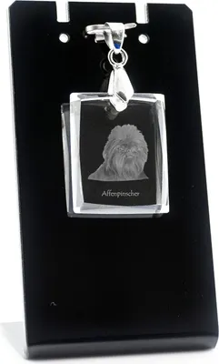 Image de Affenpinscher - Pendentif en cristal avec chien, collier avec photo, bijoux uniques d'Art-Dog
