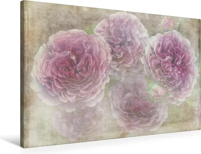 Produktbild von Calvendo Textil-Leinwand 90 cm x 60 cm quer Romantische Rosen - Shabby Chic Style, Cross Martina; 7295936