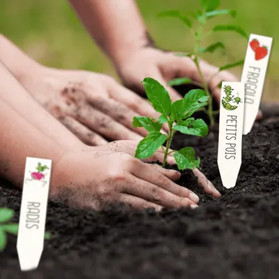 Image de Kit plastique dingue etiquette de potager
