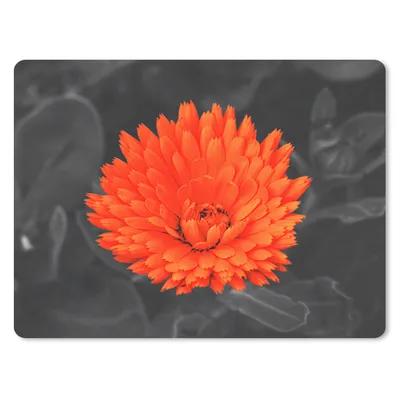 Produktbild von MuchoWow® Mauspad Mousepad Blumen - Orange - Schwarz - Weiß 23x19 cm - Mousepads - Maus Mat - Pad - Mausunterlage - Schreibtischunterlage - Mauspad