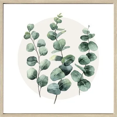 Produktbild von Gerahmtes Bild Eucalyptus I 53x53 cm