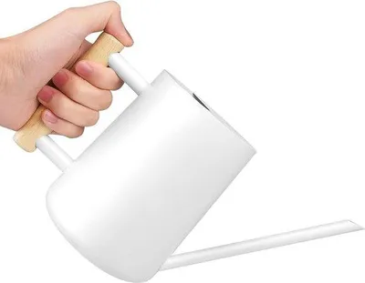Produktbild von Famanu Gießkanne 1 Liter - Edelstahl mit langer Auslauföffnung - für Zimmerpflanzen und Sukkulenten