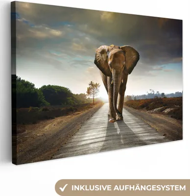 Produktbild von Wanddeko 120x80 cm - Tiere - Elefant - Straße - Sonnenuntergang - Landschaft, Deko Wohnzimmer, Bilder, Wanddeko