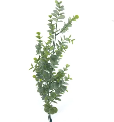 Produktbild von Kaemingk Eukalyptuszweig Blau-Grün 72 cm - Kunstpflanzen