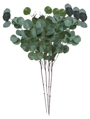 Künstliche Eukalyptuszweige, 4 Stück, 65 cm, grün, für Dekoration