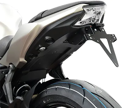 Immagine prodotto di ZIEGER Classic Portatarga completo compatibile con Kawasaki Z650 / Ninja 650