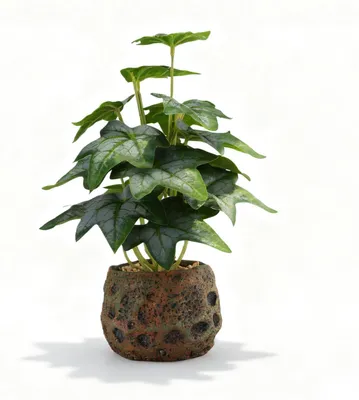 Image de Plante artificielle, syngonium réaliste, 30 cm, plante verte artificielle en pot, plante verte artificielle avec pot en pierre pour le salon, la chambre, le bureau, le balcon ou la décoration de table