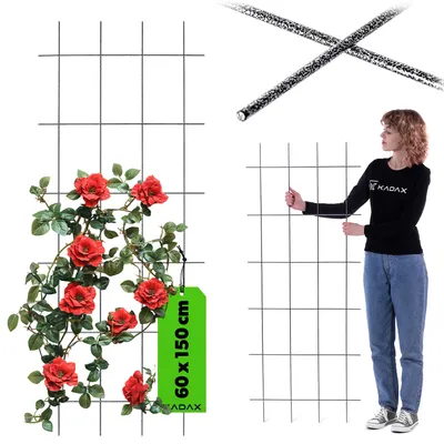 Image de KADAX Treillis "Russi", aide à l'escalade pour plantes grimpantes, treillis pour jardin, noir, 60 cm