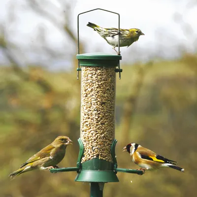 Produktbild von CJ Wildlife Futtersäule Vögel - UV-beständiges Polycarbonat - grün - hängend oder Stabmontage - Deckel zum Nachfüllen - natürliche Sitzhaltung