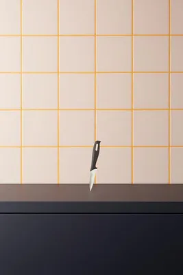 Obrázek produktu pro Nůž na krájení (L) 19 cm