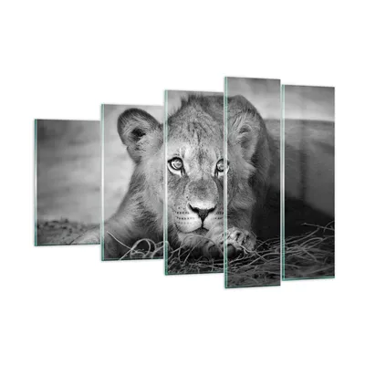 Produktbild von Bilder auf glas - 5 Teile - Löwe asiatisch Porträt - 150x100cm - Glasbilder - Wandbilder - Bilder - zum Aufhängen bereit - Wanddekoration aus Glas - Glas Bilder - Wandbild auf Glas - GEG150x100-4840