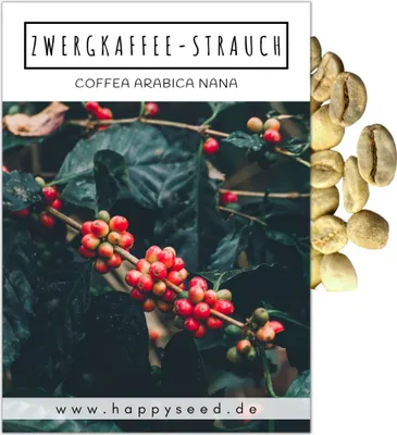 Produktbild von Kaffee Samen (Coffea arabica nana) - Immergrüner Zwergkaffee Strauch mit wunderschönen Blüten für die Anzucht von eigenen Kaffeebohnen