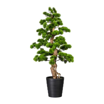 Produktbild von Kunstpflanze Bonsai Kiefer Ø 50 Höhe: 110 cm grün