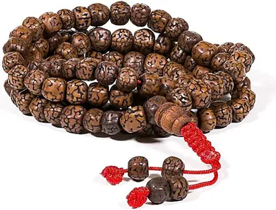 Immagine prodotto di Mala Rudraksha lucido 108 perle - 0,6 cm