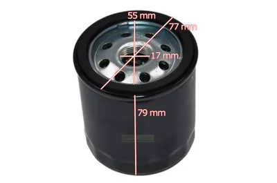 Immagine prodotto di Filtro olio motore Briggs & Stratton 491056 807894 John Deere AM101207 versione lunga