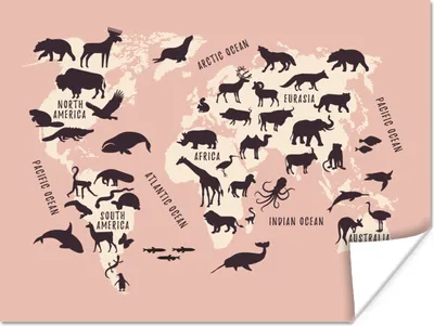 Produktbild von MuchoWow® Poster Weltkarte - Tiere - Rosa 160x120 cm - Foto Plakat