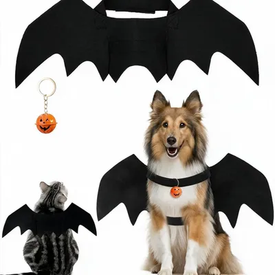 Image de Costume de chien, ailes de chauve-souris noires, 46 x 16 cm, bretelles réglables, idéal pour Halloween