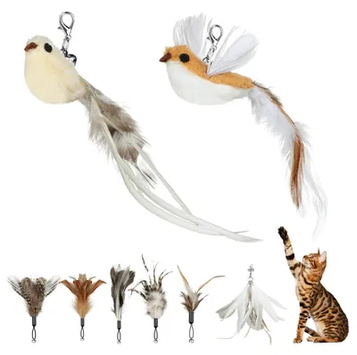 Produktbild von Katzenspielzeug Federn 8 Stück 2 Vögel 6 Federn mit Glöckchen