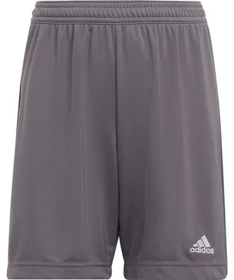 Obrázek produktu pro Adidas - Šortky „Entrada 22” pro děti PP1321 (164) (šedá/stříbrná)