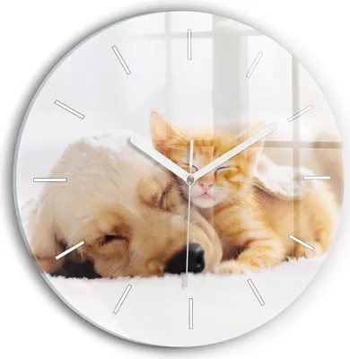 Produktbild von Wallfluent Wanduhr – Stilles Quarzuhrwerk - Uhr Dekoration Wohnzimmer Schlafzimmer Küche - Zifferblatt mit Striche - weiße Zeiger - 30 cm - Schlafende Katze und Hund
