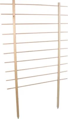 Image de Esschert Design NG124, 1000 mm, 29 mm, 1700 mm, 1 Stück(e)