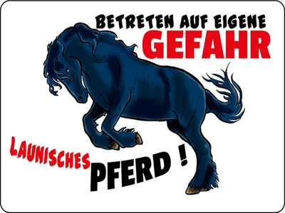 Produktbild von vianmo Holzschild 30x40 cm launisches Pferd Gefahr