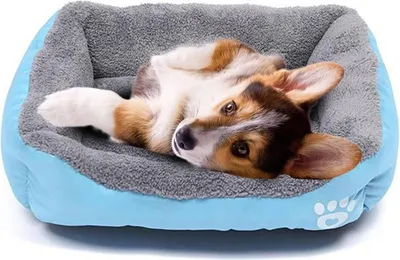 Productafbeelding van Waterdichte mat voor huisdieren en slaapkussen voor katten en kleine puppy's - zacht, wasbaar (blauw)