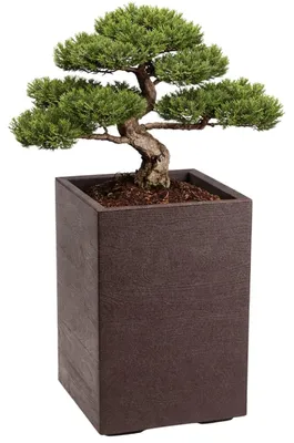 Produktbild von HowHomely | Pflanzentopf - Blumenkübel - braun - 60x40x40 cm - Blumentopf auf Rädern - Holzoptik - Dekorativ