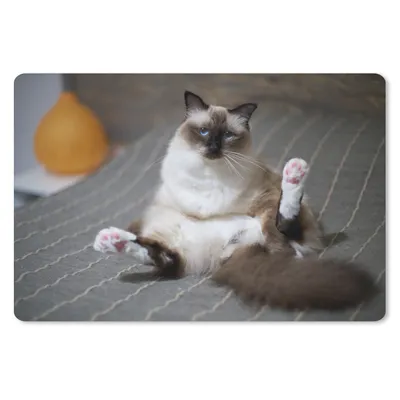 Produktbild von MuchoWow® Schreibtischunterlage Katze - Fell - Braun 60x40 cm - XXL Mauspad - Großes Mauspad