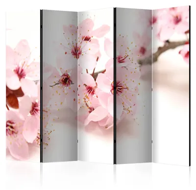 Produktbild von Muralo Beidseitig bedruckter PARAVENT 5-teilig Raumteiler klappbar KIRSCHBLÜTEN NATUR 225cmx172cm
