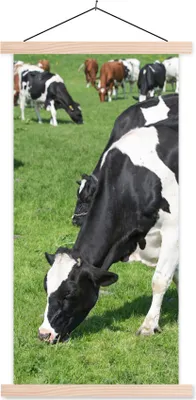 Produktbild von MuchoWow® Textilposter Kuh - Tiere - Gras - Sonne 40x80 cm mit holzfarbenen Rahmen - Wohnzimmer
