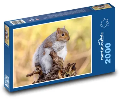 Zdjęcie produktu dla martinpuzzle - Puzzle 2000 - Veverka