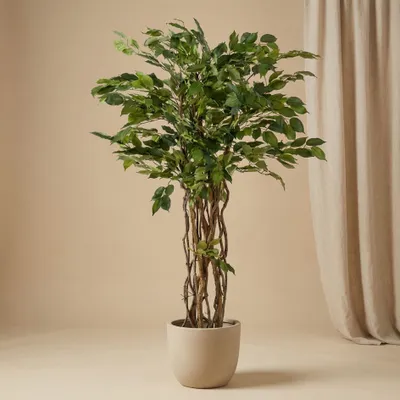 Produktbild von Ficus Liana Kunstbaum 140cm - Künstliche Pflanze