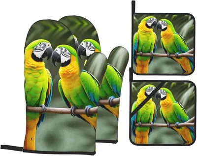 Produktbild von 4-teiliges Topflappen-Set mit Papageienmotiv und Aufhängeschlaufen für Küche, Kochen und Grillen
