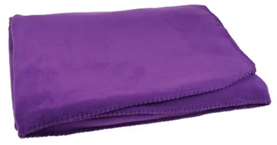 Obrázek produktu pro L-Merch – pikniková deka „Basic“ LT3748 (jednotná velikost) (fialová)