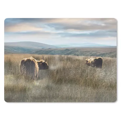 Produktbild von MuchoWow® Mauspad Mousepad Schottische Highlander - Nebel - Gras 23x19 cm - Mousepads - Maus Mat - Pad - Mausunterlage - Schreibtischunterlage - Mauspad