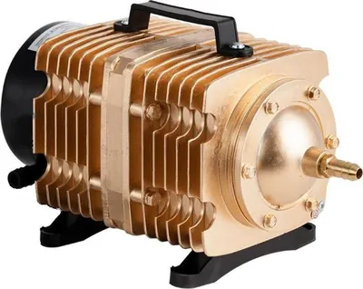 A close-up, studio shot of a gold and black air pump.