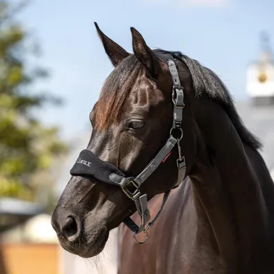 Produktbild von LeMieux Vogue Headcollar & Leadrope, Farbe:Black/Grey, Größe:Cob