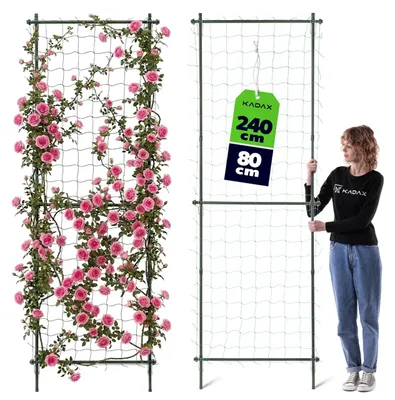 Produktbild von KADAX Rankgitter 80 x 240 cm, Rosengitter aus beschichtetem Metall, Rankgerüst, Rankhilfe für Rosen, Clematis & Kletterpflanzen, Rosenspalier, Sichtschutz für Garten